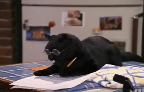 A black cat in round glasses, pencil in mouth, typing away at a desk.